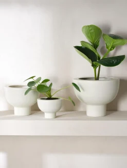 New ASA Selection übertopf auf fuß, soft shell