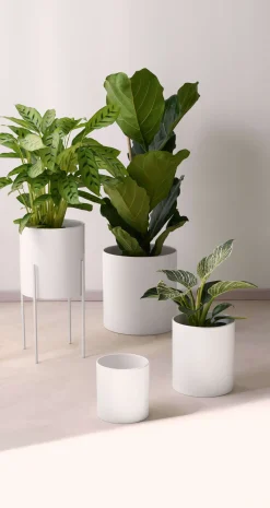 ASA Selection übertopf, weiß