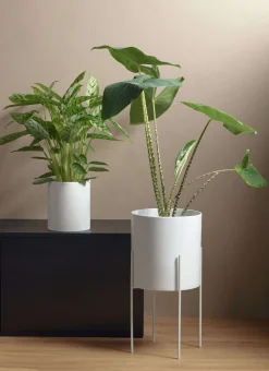 Best ASA Selection übertopf, weiß