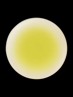 Hot ASA Selection dessertteller koi by tim raue