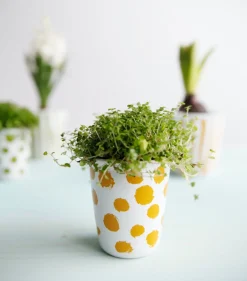 Online ASA Selection espressobecher