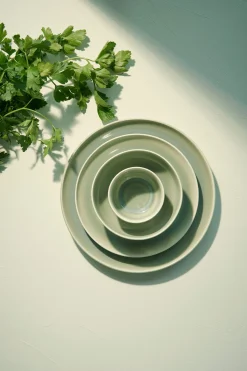 Hot ASA Selection Essteller, Agave