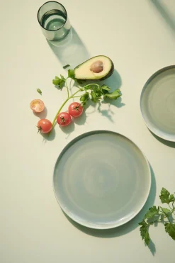 Hot ASA Selection Essteller, Agave