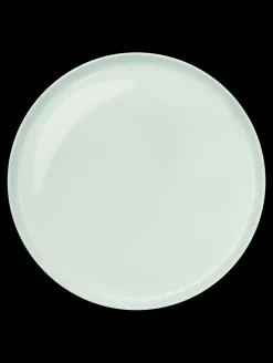 New ASA Selection essteller, kolibri