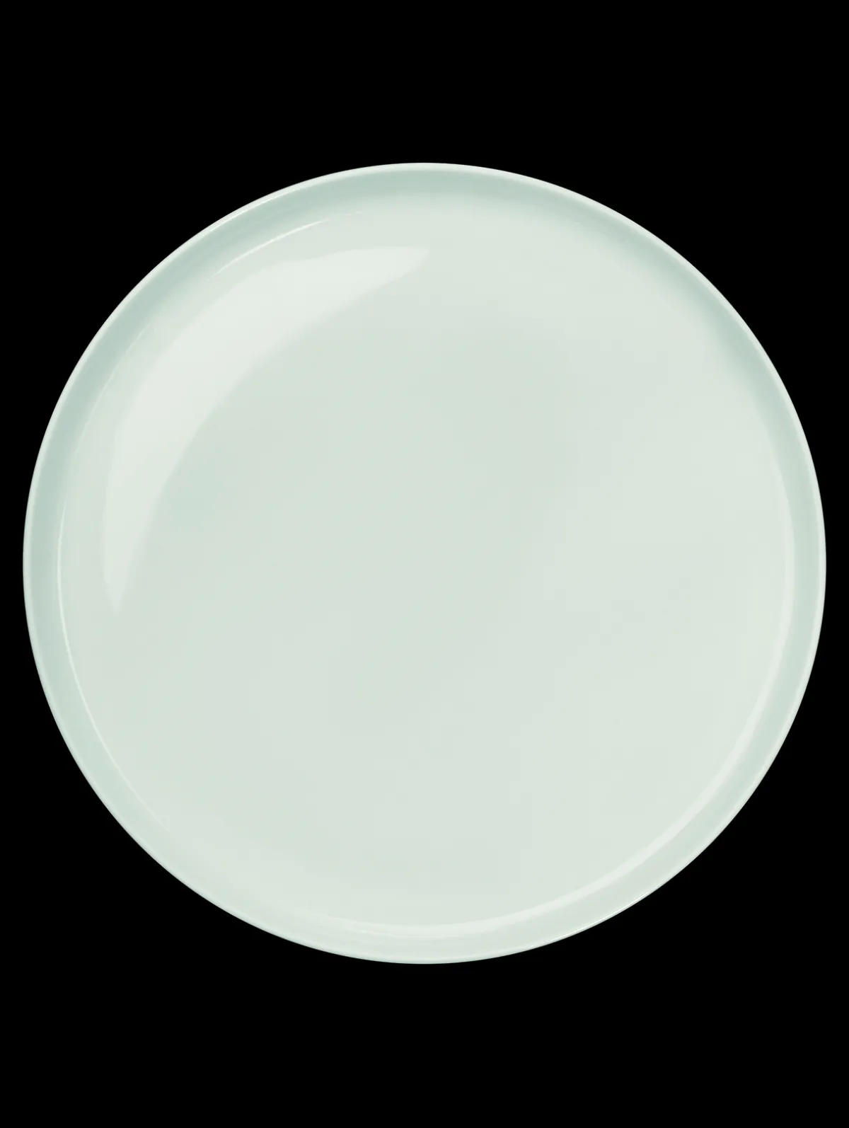 New ASA Selection essteller, kolibri