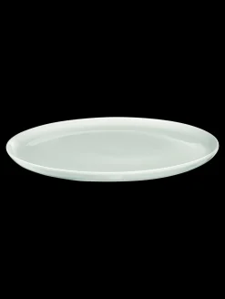 New ASA Selection essteller, kolibri