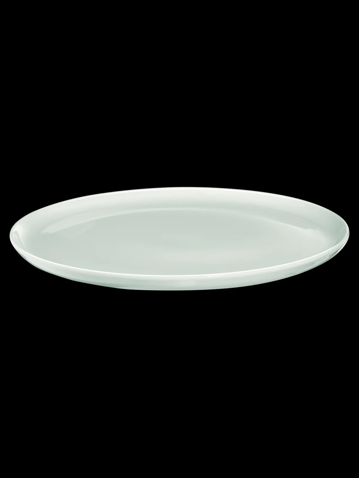 New ASA Selection essteller, kolibri