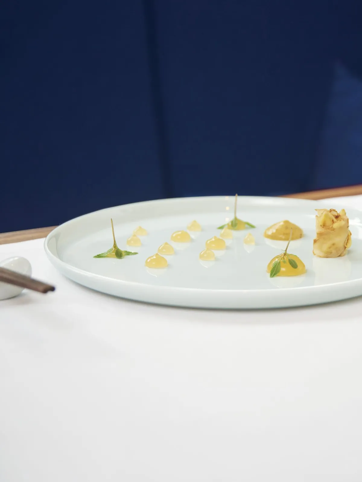 New ASA Selection essteller, kolibri