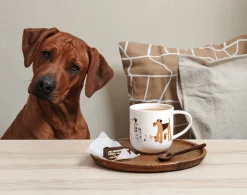 Online ASA Selection henkelbecher, basset hound