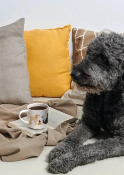 Online ASA Selection henkelbecher, basset hound