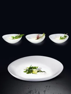 Online ASA Selection ovaler teller, tief