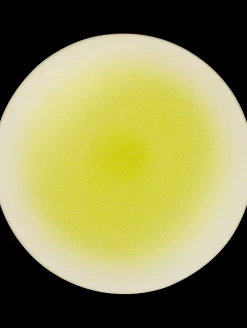 Best ASA Selection platzteller koi by tim raue