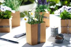 Online ASA Selection stiefmütterchen in papier