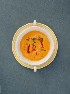 Outlet ASA Selection suppentasse mit 2 henkeln