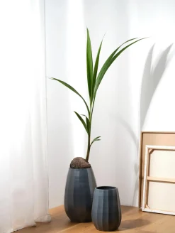 Best ASA Selection vase, anthracite