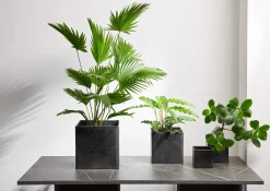 Best ASA Selection vase, black iron