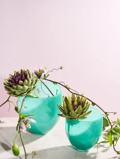 Discount ASA Selection vase, hibisco