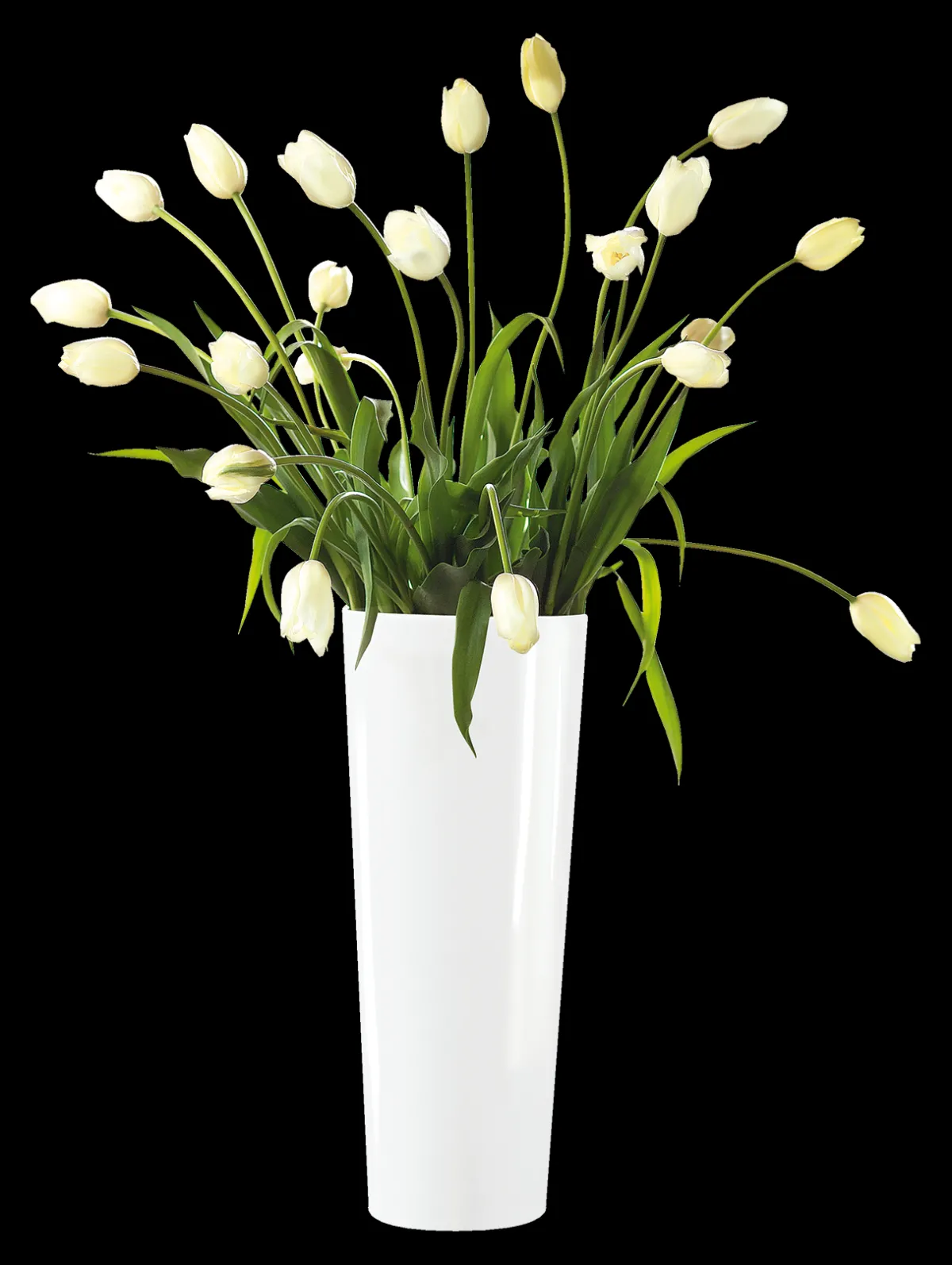 Discount ASA Selection vase, weiß